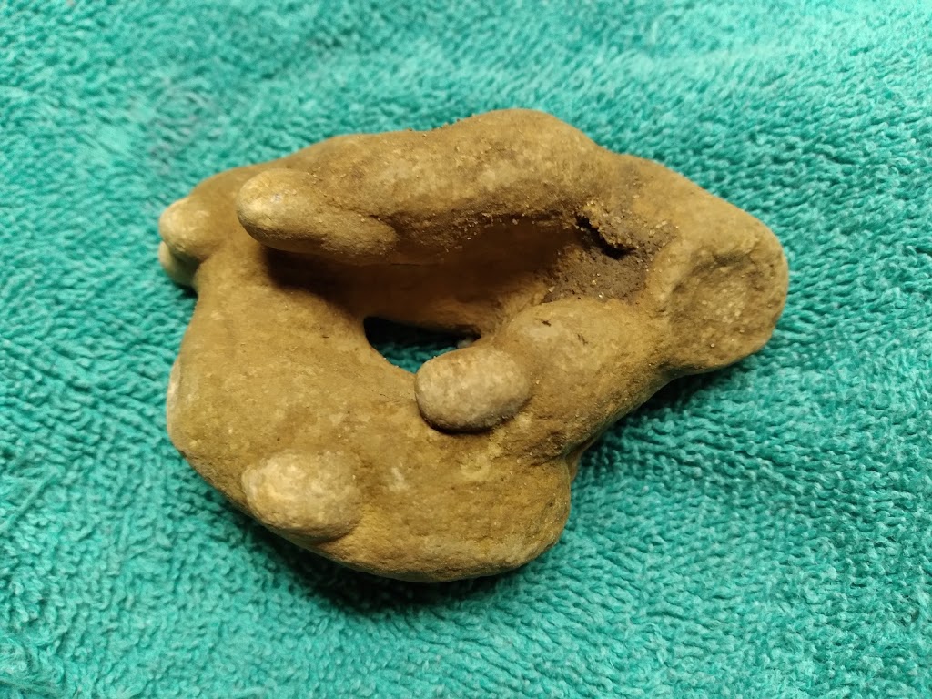 Adams Saloon | restaurant | 1619 N 735th Ave, Liberty, IL 62347, USA | 2176567188 OR +1 217-656-7188