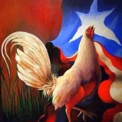 Shortys Puerto Rican Cuisine - New Port Richey | restaurant | 4417 Terry Loop Unit C, New Port Richey, FL 34652, USA | 7277538084 OR +1 727-753-8084