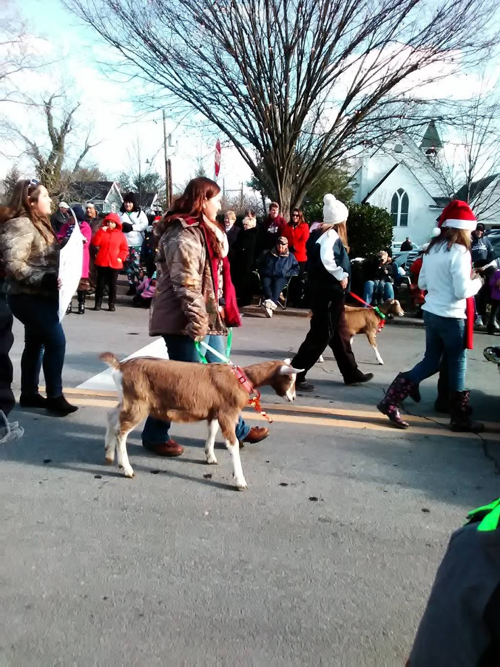 Country Cafe | restaurant | 389 Main St A, Washington, VA 22747, USA | 5406751066 OR +1 540-675-1066