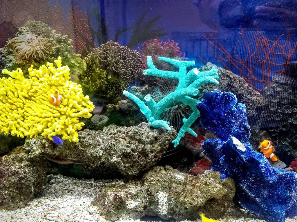 Cafe Azteca | restaurant | 180 Common St, Lawrence, MA 01840, USA | 9786897393 OR +1 978-689-7393