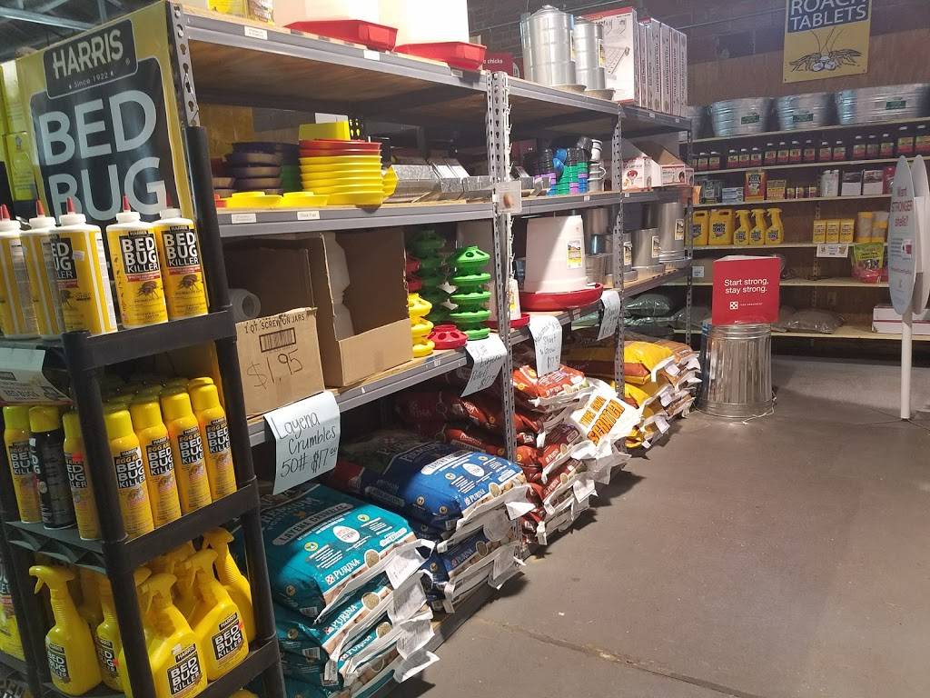 Standard Feed & Seed | restaurant | 1236 Kings Rd, Jacksonville, FL 32204, USA | 9043555575 OR +1 904-355-5575