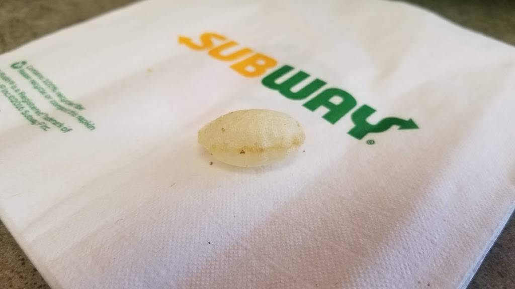 Subway | restaurant | International Towne Center, 6143 Westwood Blvd, Orlando, FL 32821, USA | 4073700454 OR +1 407-370-0454