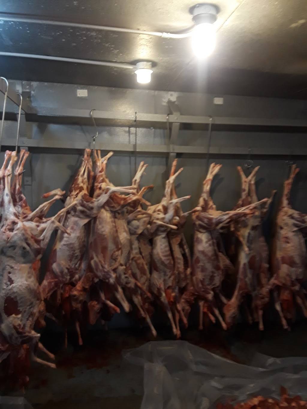 Royal Halal Meat & Fish Supermarket | restaurant | 11913 Bissonnet St, Houston, TX 77099, USA | 2815619464 OR +1 281-561-9464