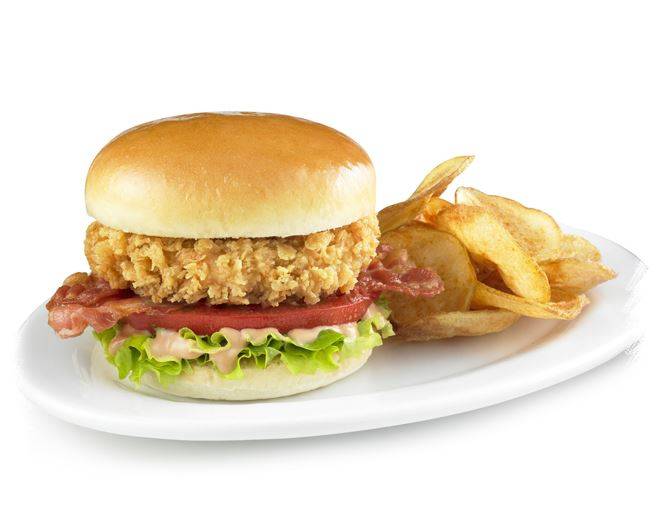 비비큐 치킨 BBQ CHICKEN | restaurant | 10 E Edsall Blvd, Palisades Park, NJ 07650, USA | 2014610201 OR +1 201-461-0201