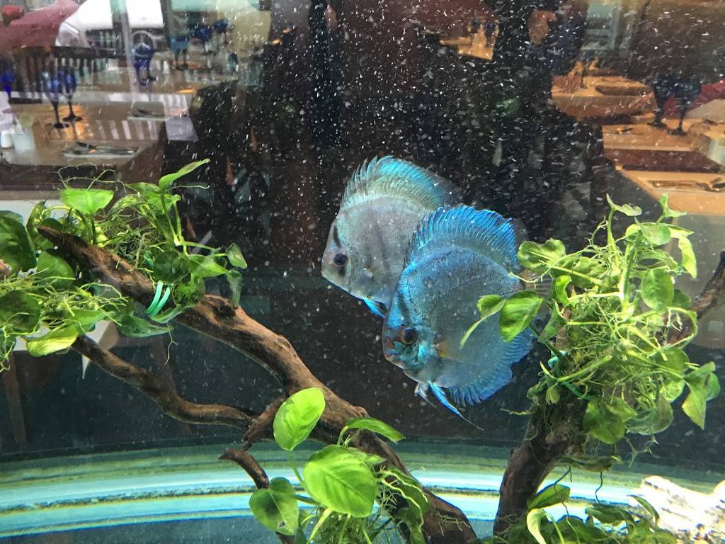 Fusion dAsie | restaurant | 1137 Rang Saint-François, Terrebonne, QC J6Y 0C7, Canada | 4508180728 OR +1 450-818-0728