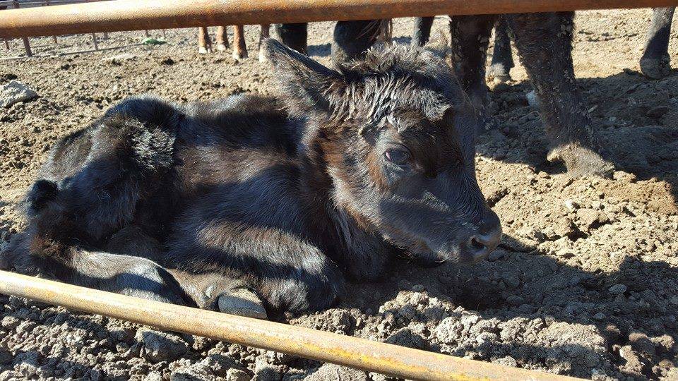 Mohrhauser Farms | restaurant | 11080 SW 119th St, Denton, NE 68339, USA | 4026800428 OR +1 402-680-0428