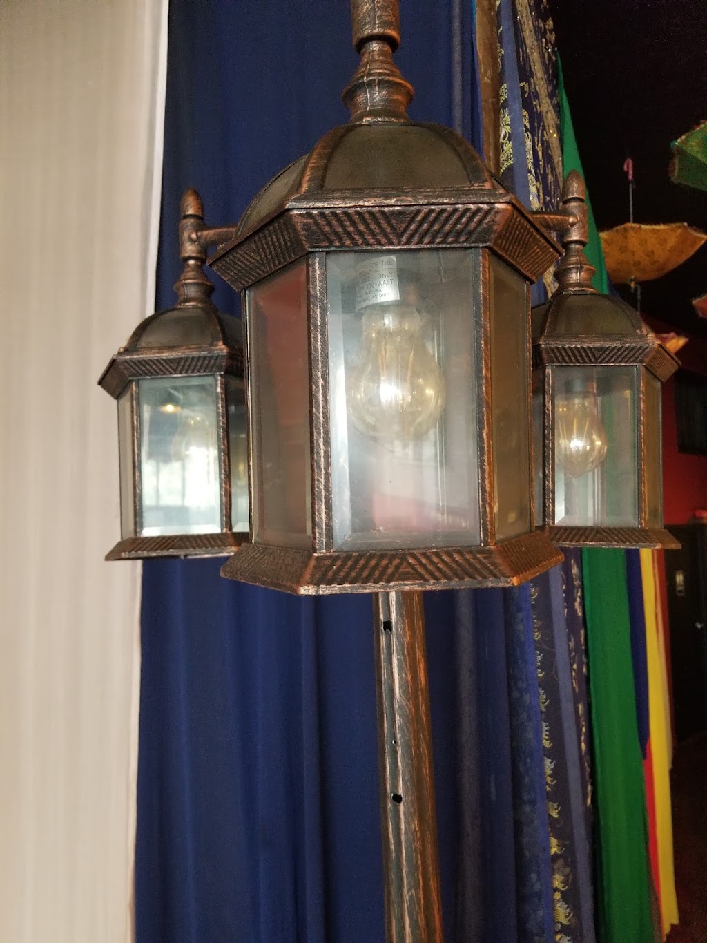 The Vegan Lasagna Garden | restaurant | 1889 Solano Ave, Berkeley, CA 94707, USA | 4153670738 OR +1 415-367-0738