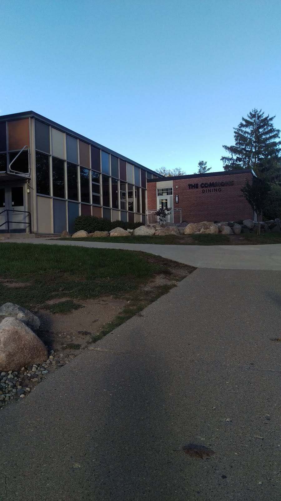 The Commons | restaurant | 529 St Johns St, Ypsilanti, MI 48197, USA | 7344872442 OR +1 734-487-2442