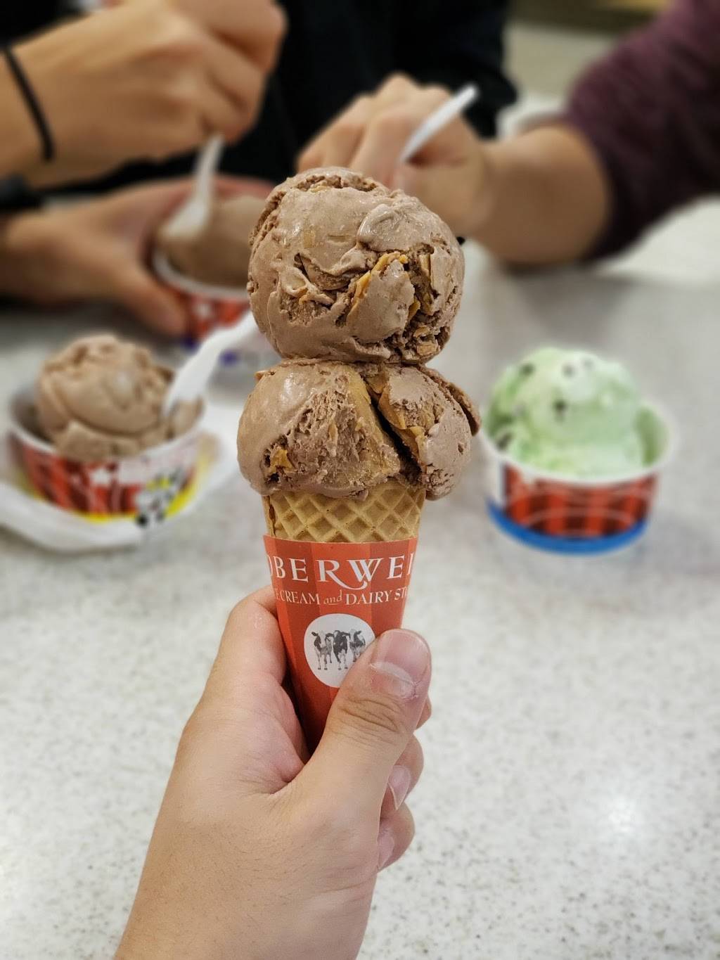 Oberweis Ice Cream and Dairy Store | restaurant | 30 Roselle Rd, Schaumburg, IL 60193, USA | 8475340544 OR +1 847-534-0544
