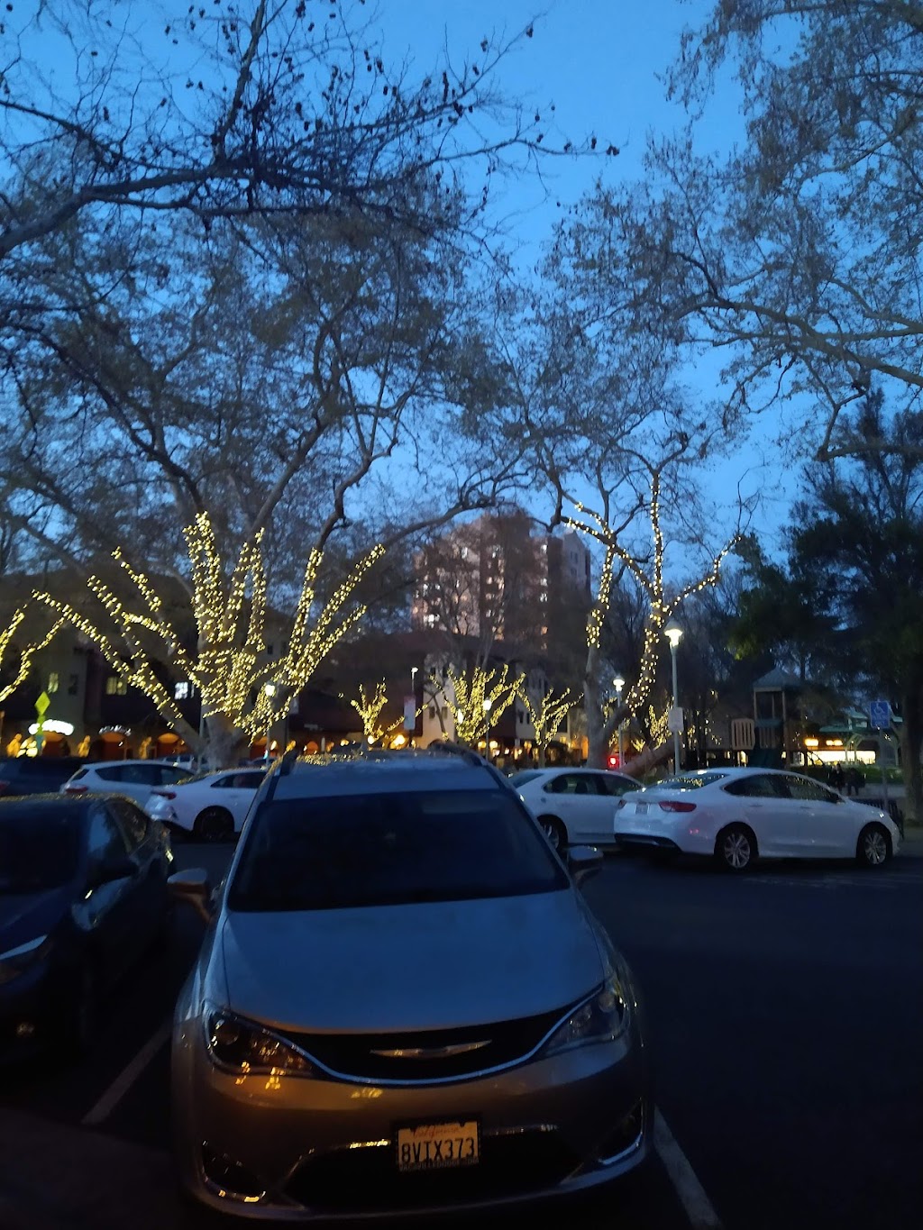 Sourdough and co | restaurant | 1975 Mt Diablo St, Concord, CA 94520, USA | 9253382835 OR +1 925-338-2835