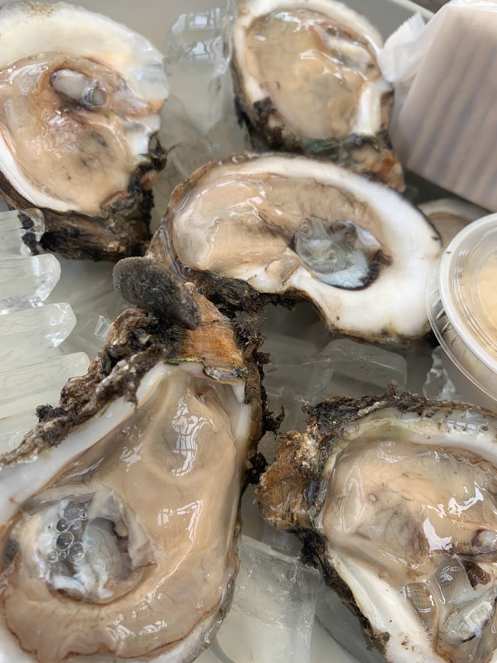 Genes Oyster Bar | restaurant | 302 Sherman Ave, Panama City, FL 32401, USA | 8507851232 OR +1 850-785-1232