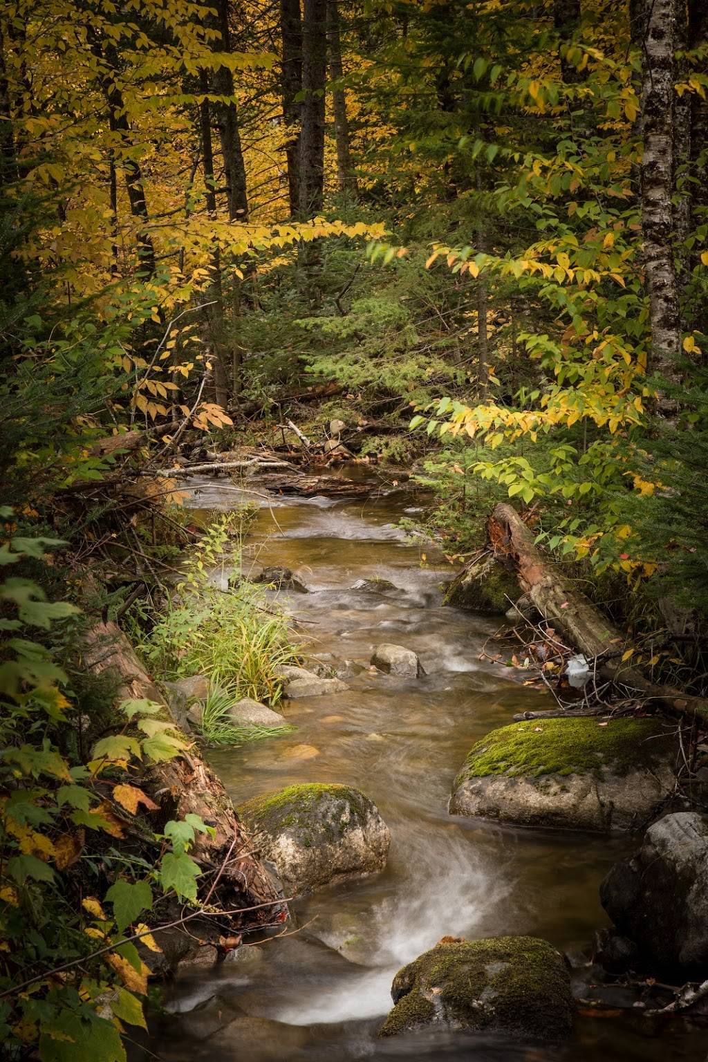 Meridan Hill Maple Farm | restaurant | 57 Turner Rd, Columbia, NH 03590, USA | 6037885110 OR +1 603-788-5110