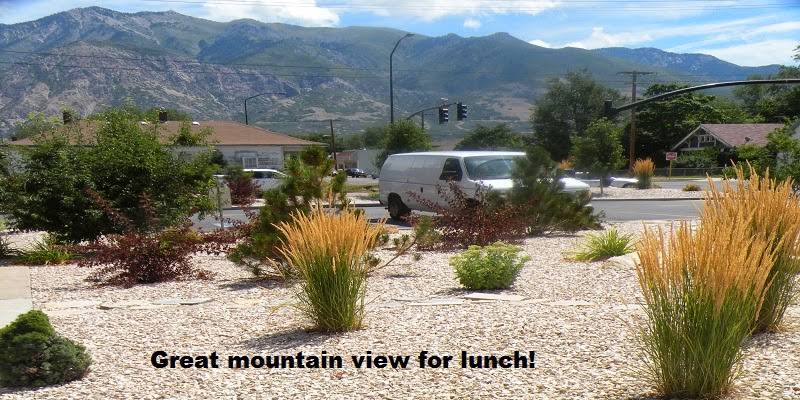 Red Duck Store & Grill | restaurant | 2985 Lincoln Ave, Ogden, UT 84401, USA | 8018660451 OR +1 801-866-0451