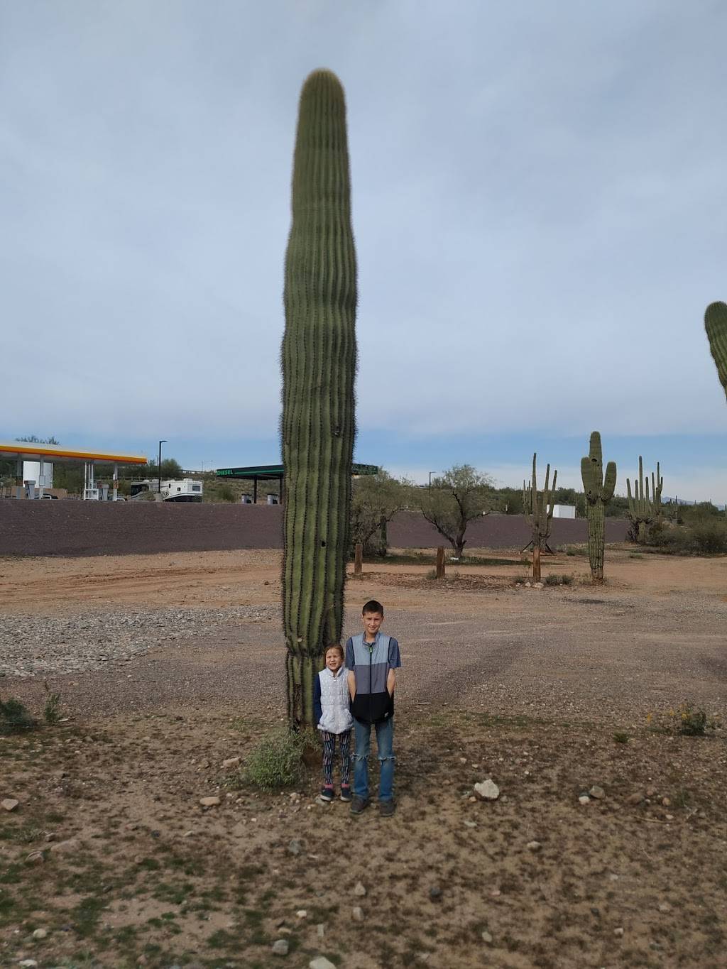 Subway Restaurants | restaurant | 3906 W New River Rd, New River, AZ 85087, USA | 6234657139 OR +1 623-465-7139