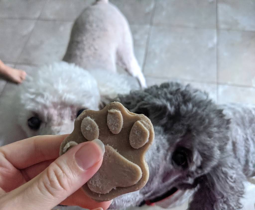 Elevate Food Truck | restaurant | 134 Riberia St, St. Augustine, FL 32084, USA | 9044847490 OR +1 904-484-7490