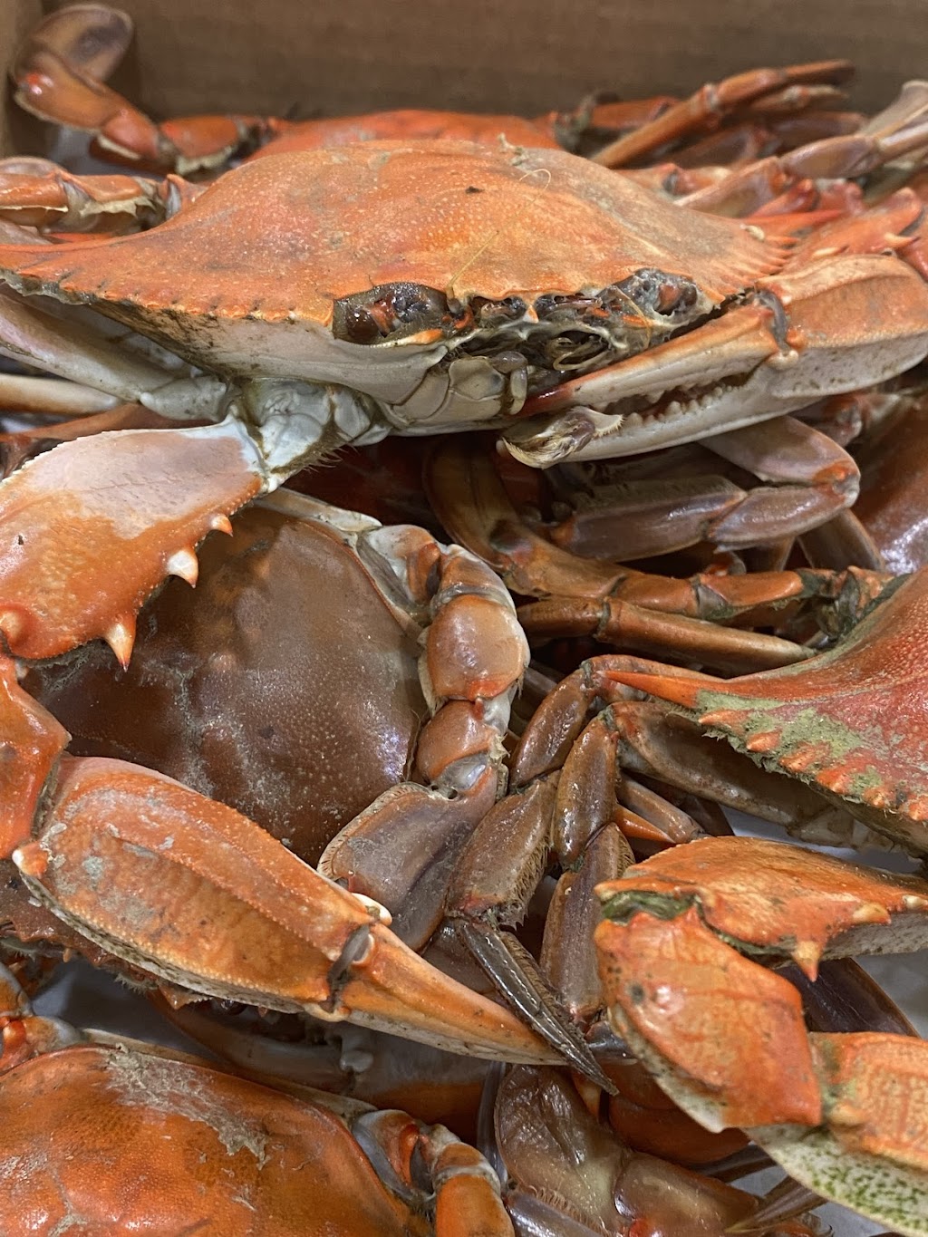 N.N. Crab Shack | restaurant | 5057 Jessie Dupont Memorial Hwy, Heathsville, VA 22473, USA | 8045802722 OR +1 804-580-2722