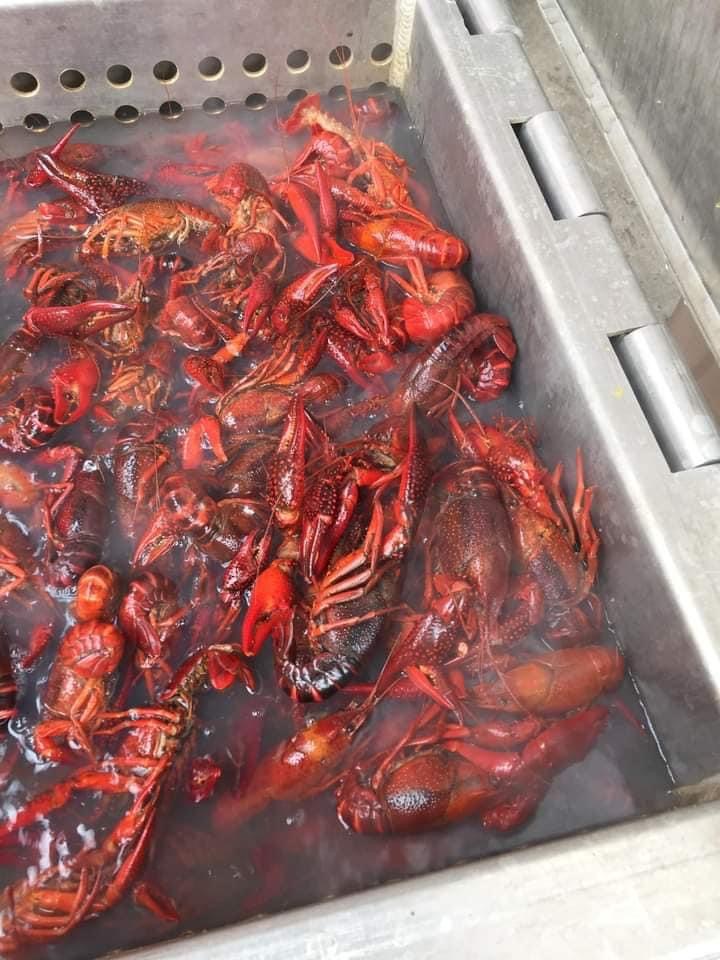 M&Ms Crawfish Shack | restaurant | 17607 U.S. Hwy 190, Port Barre, LA 70577, USA | 3379454181 OR +1 337-945-4181