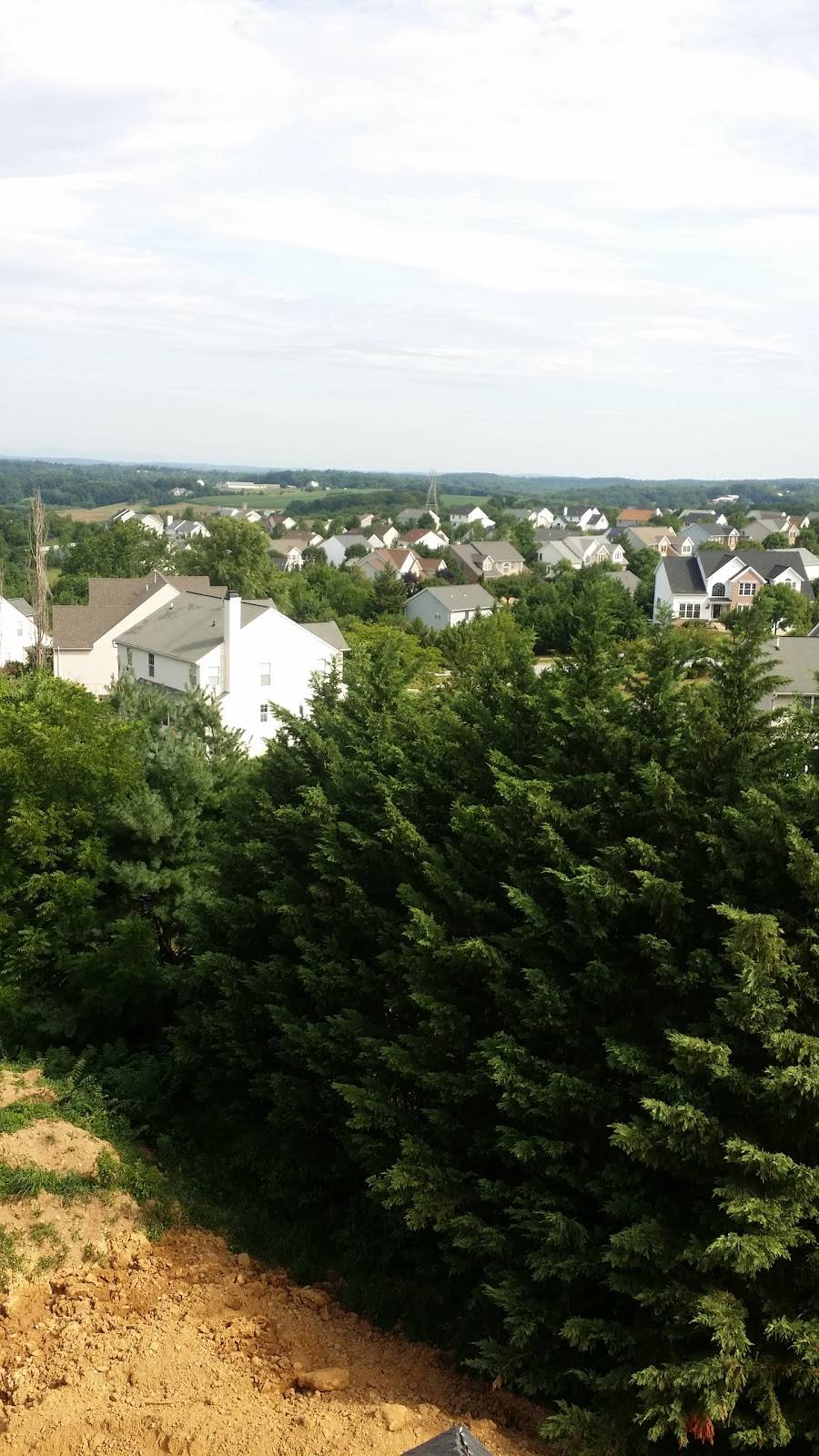 Little Caesars Pizza | meal takeaway | 1305 W 7th St, Frederick, MD 21702, USA | 3016443333 OR +1 301-644-3333