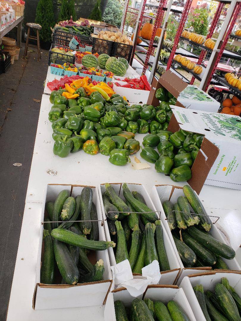 Grand Traverse Salad Company | restaurant | 2500 W South Airport Rd, Traverse City, MI 49684, USA | 2316425900 OR +1 231-642-5900