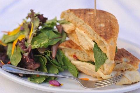 Purple Onion Café | cafe | 14107 Winchester Blvd, Los Gatos, CA 95030, USA | 4088712522 OR +1 408-871-2522