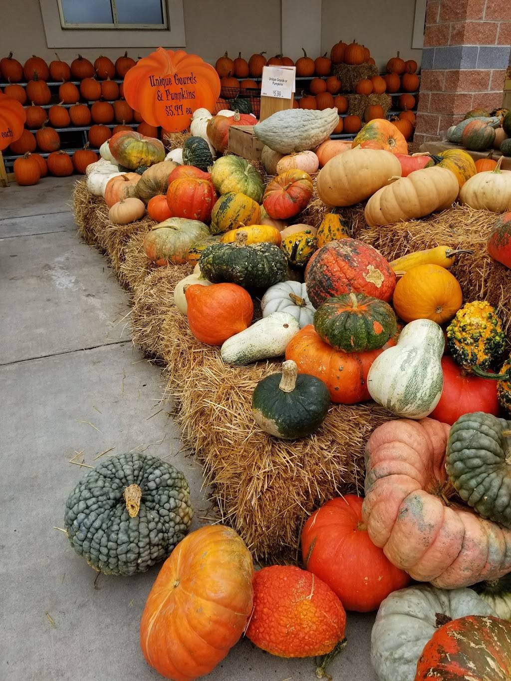 The Shops at Stonewall | shopping mall | 7901-8297 Stonewall Shops Square, Gainesville, VA 20155, USA | 7034424300 OR +1 703-442-4300