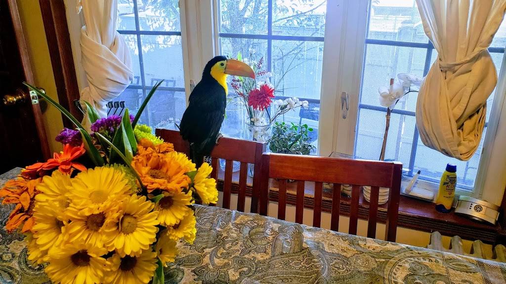 Shishi With Tzvi - שישי אצל צבי | restaurant | 87-01 139th St, Jamaica, NY 11435, USA | 7188137939 OR +1 718-813-7939