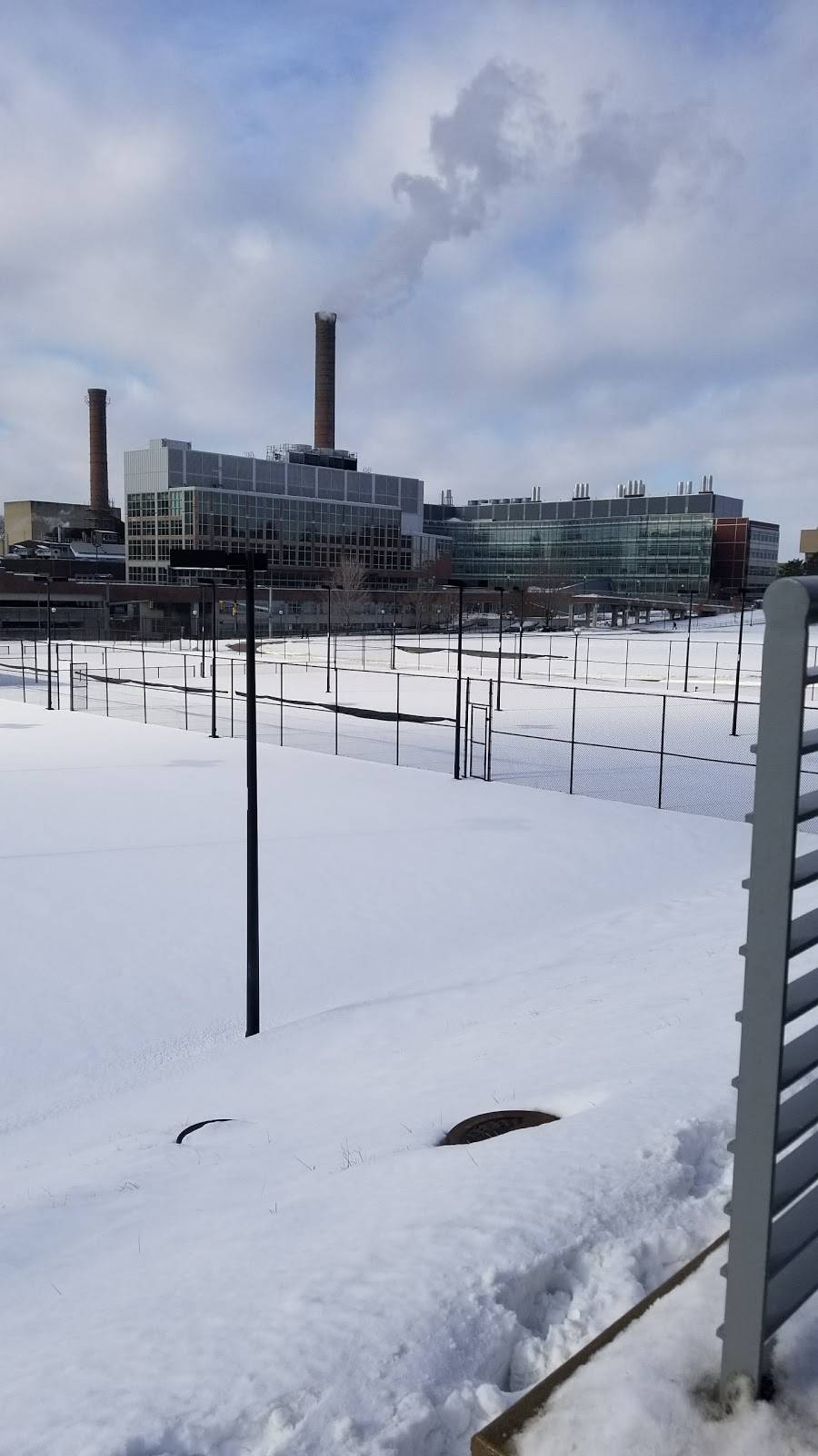 Mosher-Jordan Dining Hall | restaurant | 200 Observatory St, Ann Arbor, MI 48109, USA | 7347642111 OR +1 734-764-2111