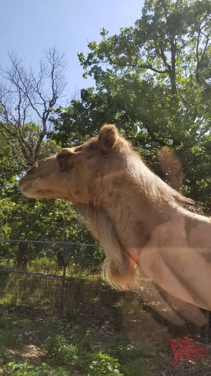 Smokin Bones | restaurant | 8401 US-34 Bldg 1,, 8401 73rd St, Agency, IA 52530, USA | 6419375114 OR +1 641-937-5114