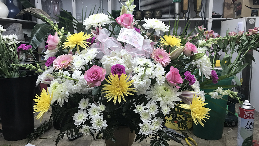 Lexi Lu’s Cafe Amoroso Flower Shop | restaurant | 212 S Broad St, Trenton, NJ 08608, USA | 6096953218 OR +1 609-695-3218