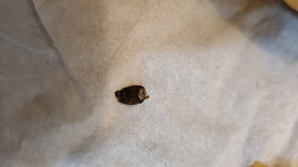 Maple Dragon Chinese Restaurant | restaurant | 2810 Major MacKenzie Dr W Unit B9, Maple, ON L6A 1R8, Canada | 9058328855 OR +1 905-832-8855