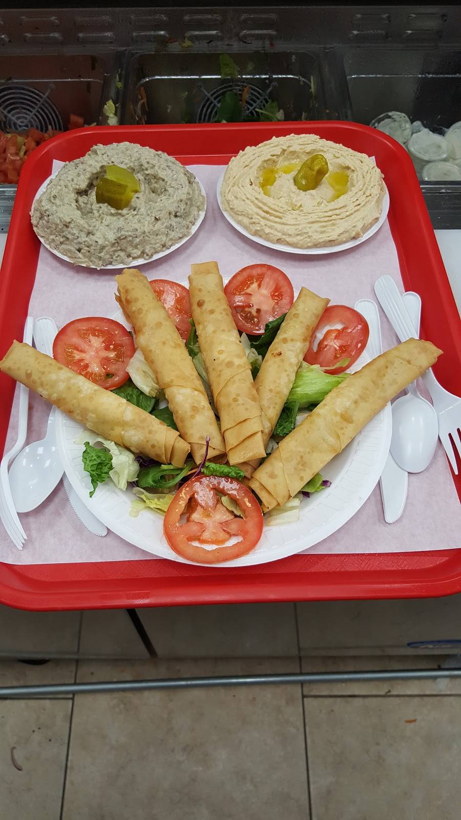 Florya Pita Grill | restaurant | Bohemia, NY 11716, USA | 6317506300 OR +1 631-750-6300