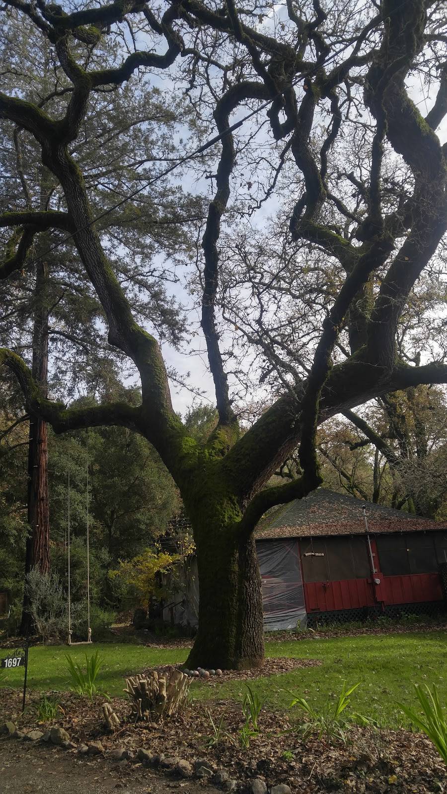 Mortons Warm Springs | cafe | 1651 Warm Springs Rd, Glen Ellen, CA 95442, USA | 7078335511 OR +1 707-833-5511