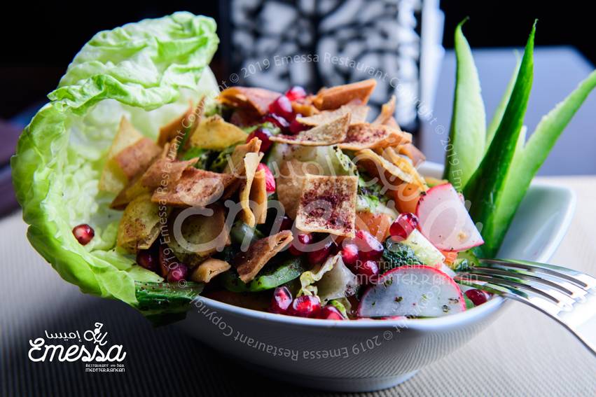 Emessa Restaurant,Bar & Hookah Lounge | restaurant | 6315 Leesburg Pike, Falls Church, VA 22044, USA | 5712823352 OR +1 571-282-3352