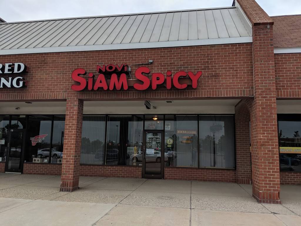 Novi Siam Spicy | restaurant | 43436 W Oaks Dr, Novi, MI 48377, USA | 2483489441 OR +1 248-348-9441