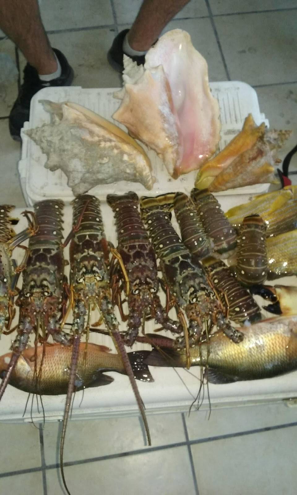 Terrace View Restaurant | restaurant | 3367 Euchee Chapel Rd, Spring City, TN 37381, USA | 4233657021 OR +1 423-365-7021