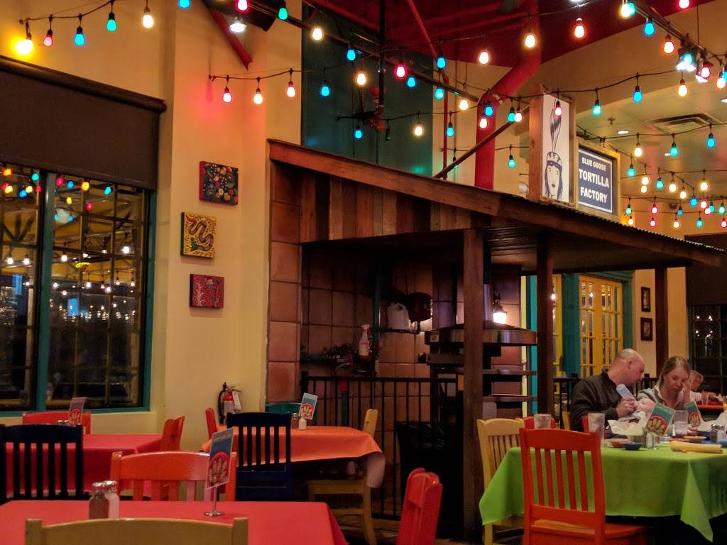 The Blue Goose Cantina | restaurant | 9320 Dallas Pkwy #140, Frisco, TX 75034, USA | 9726689604 OR +1 972-668-9604