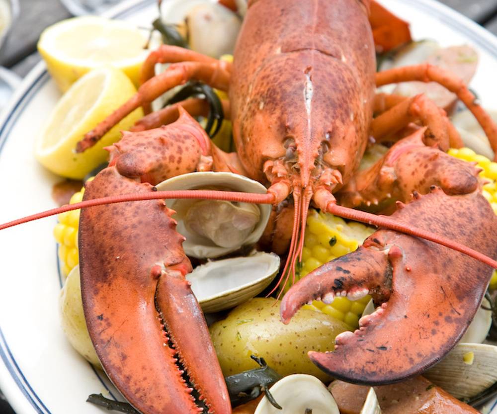 Pittsburgh Blue Steakhouse | restaurant | 10 E Center St, Rochester, MN 55904, USA | 5073612560 OR +1 507-361-2560