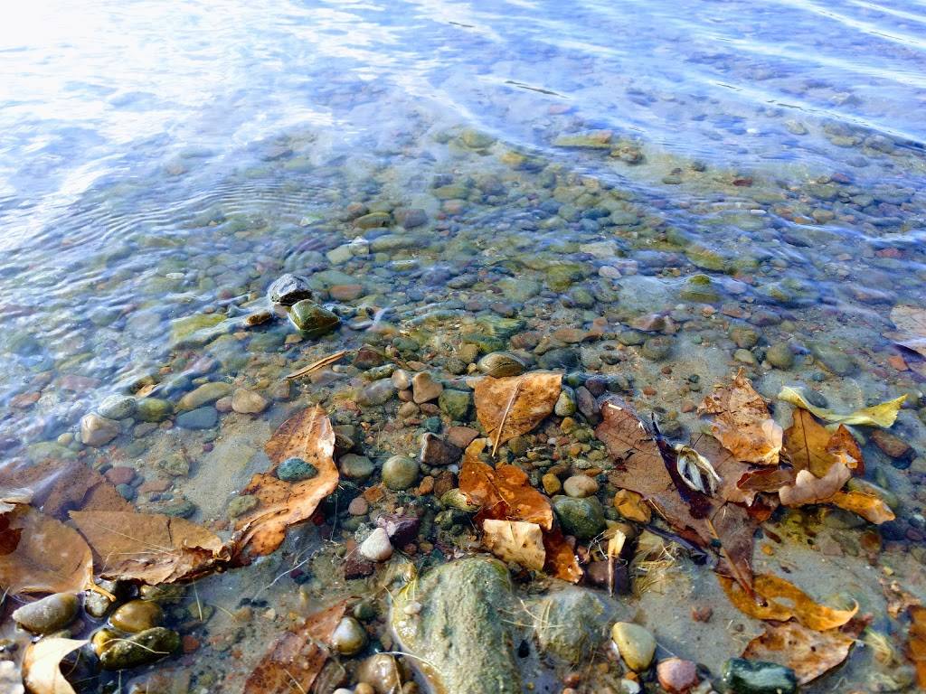 Devils Lake State Park - South Shore Concessions | meal takeaway | 5975 S Park Rd, Baraboo, WI 53913, USA | 6083563381 OR +1 608-356-3381