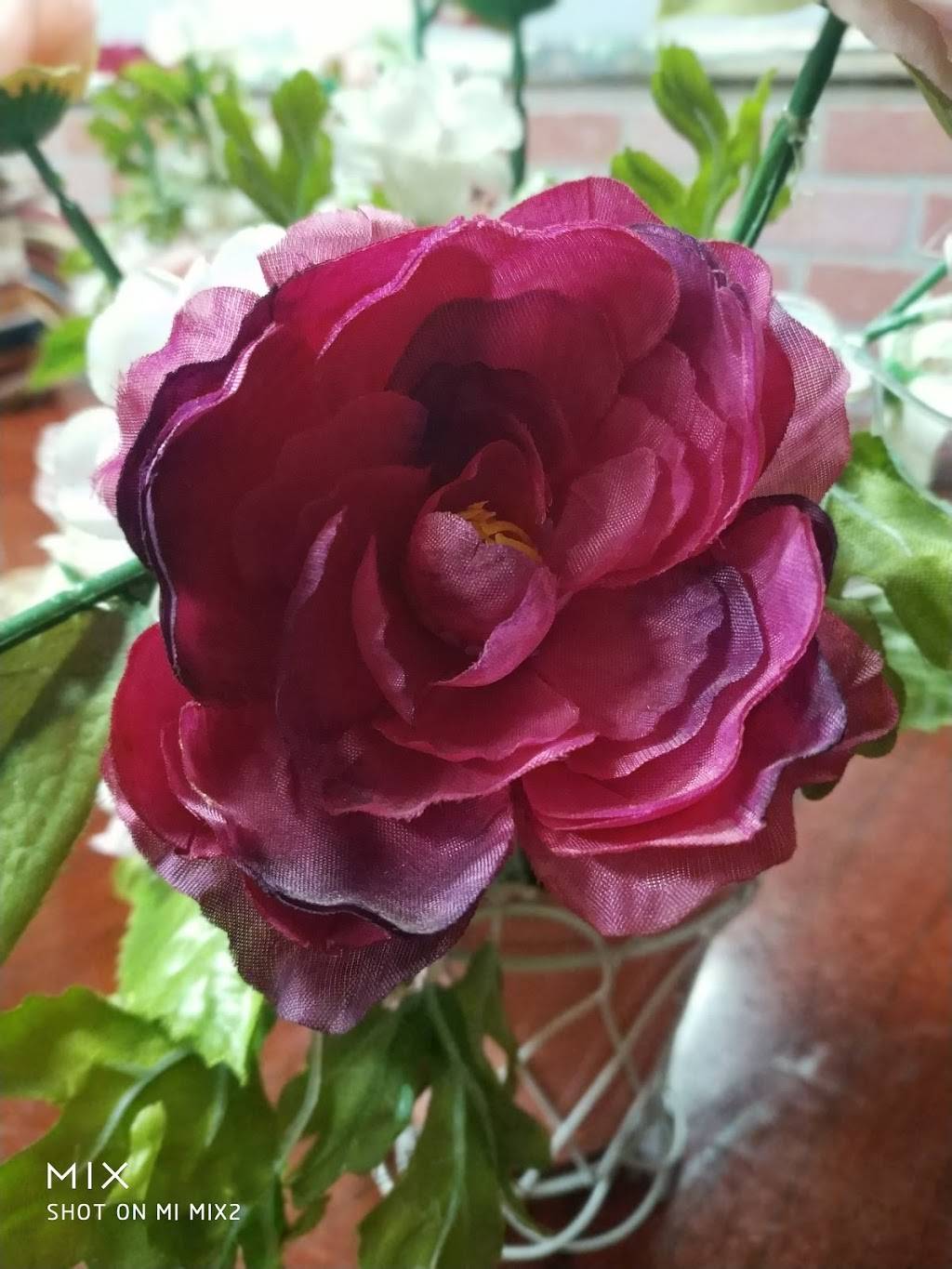 Mimi African Restaurant | restaurant | 55 William St, Newark, NJ 07102, USA | 9734249996 OR +1 973-424-9996