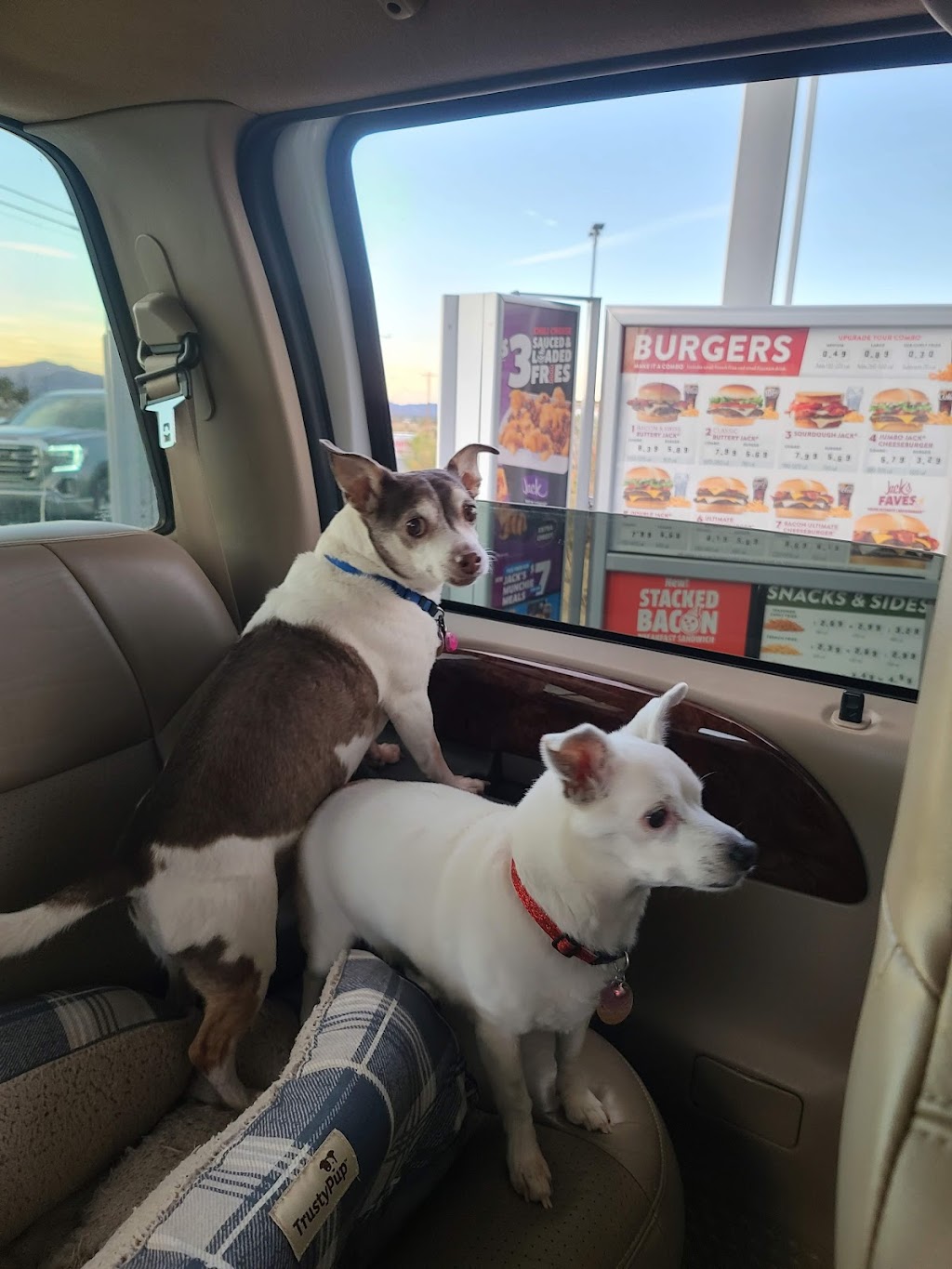 Jack in the Box | restaurant | 640 NV-160, Pahrump, NV 89048, USA | 7757273783 OR +1 775-727-3783