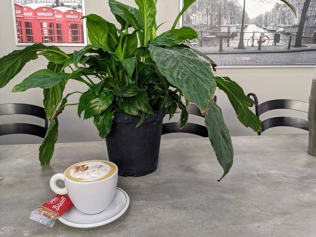 Cafe Polis | cafe | 26 Hibiscus St, Tarpon Springs, FL 34689, USA | 7279406844 OR +1 727-940-6844