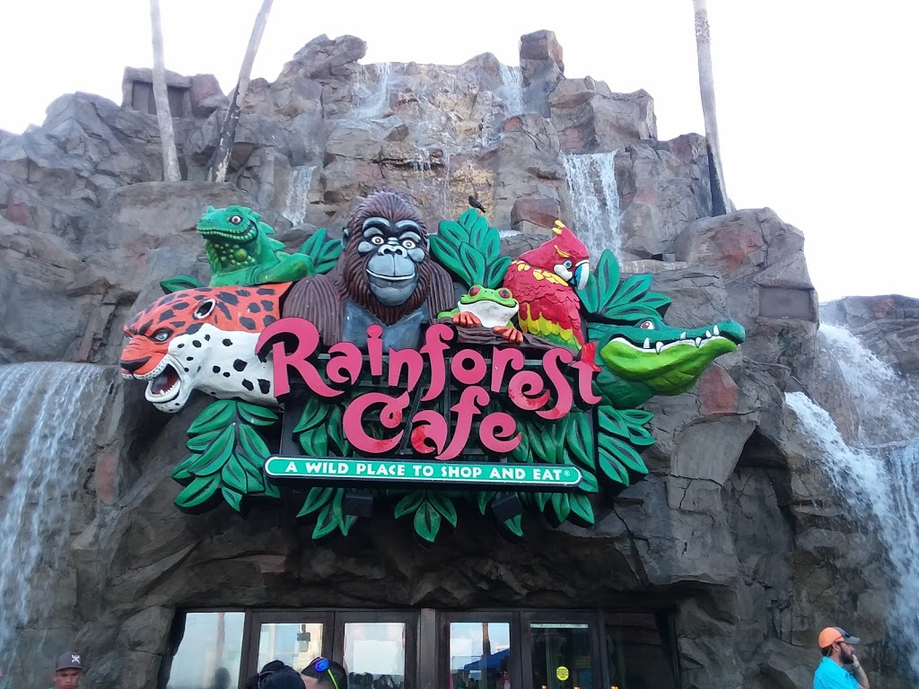 Rainforest River Adventure Ride | restaurant | 3001 53rd St, Galveston, TX 77551, USA | 4097446000 OR +1 409-744-6000