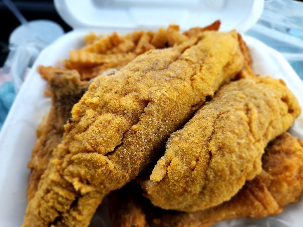 Hip Hop Fish & Chicken | restaurant | 1350 Mahan Dr unit f, Tallahassee, FL 32308, USA | 8507659750 OR +1 850-765-9750