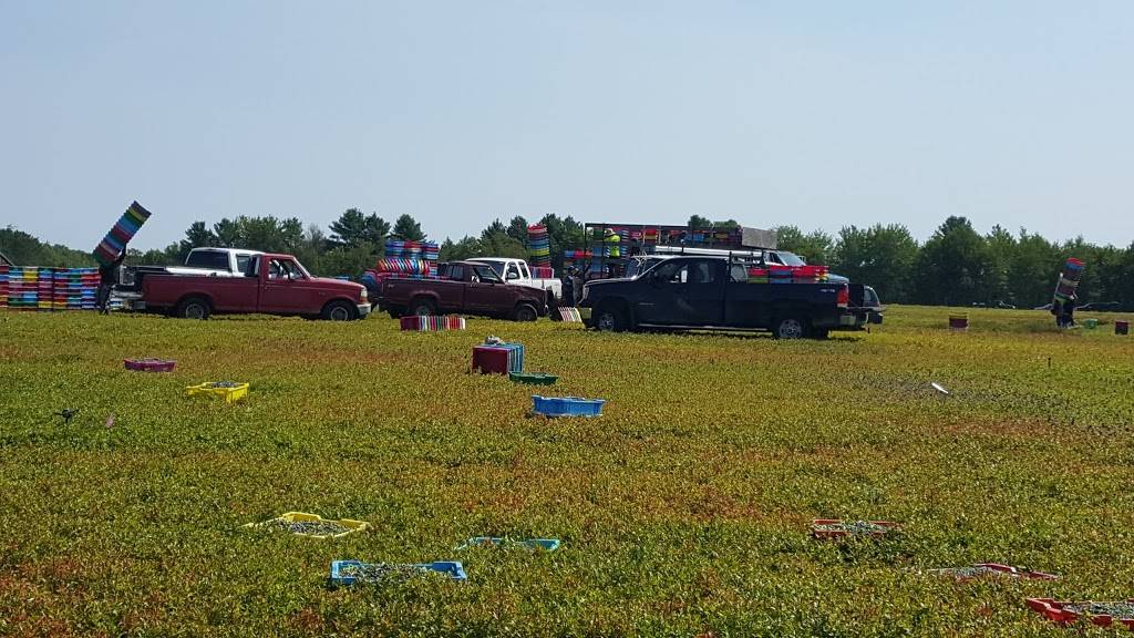 IHOP | restaurant | 2904 Hardy St, Hattiesburg, MS 39401, USA | 6012646789 OR +1 601-264-6789