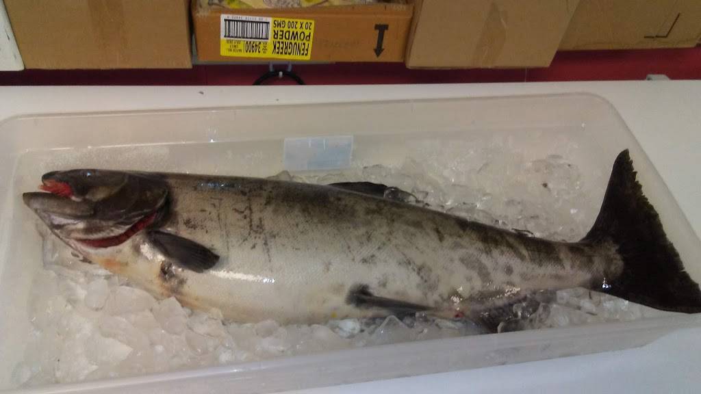 Sycamore Halal Meat & Fish Market | restaurant | 1064 Sycamore St, Buffalo, NY 14212, USA | 7168934253 OR +1 716-893-4253