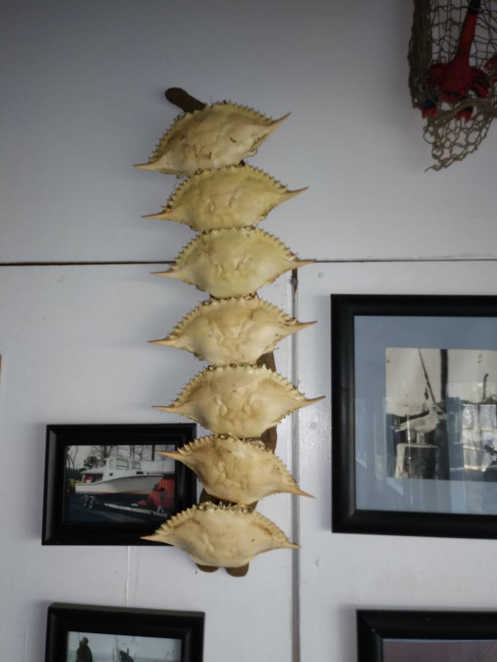 Elliott’s Seafood | restaurant | 10922 Adkins Rd, Berlin, MD 21811, USA | 4106415938 OR +1 410-641-5938