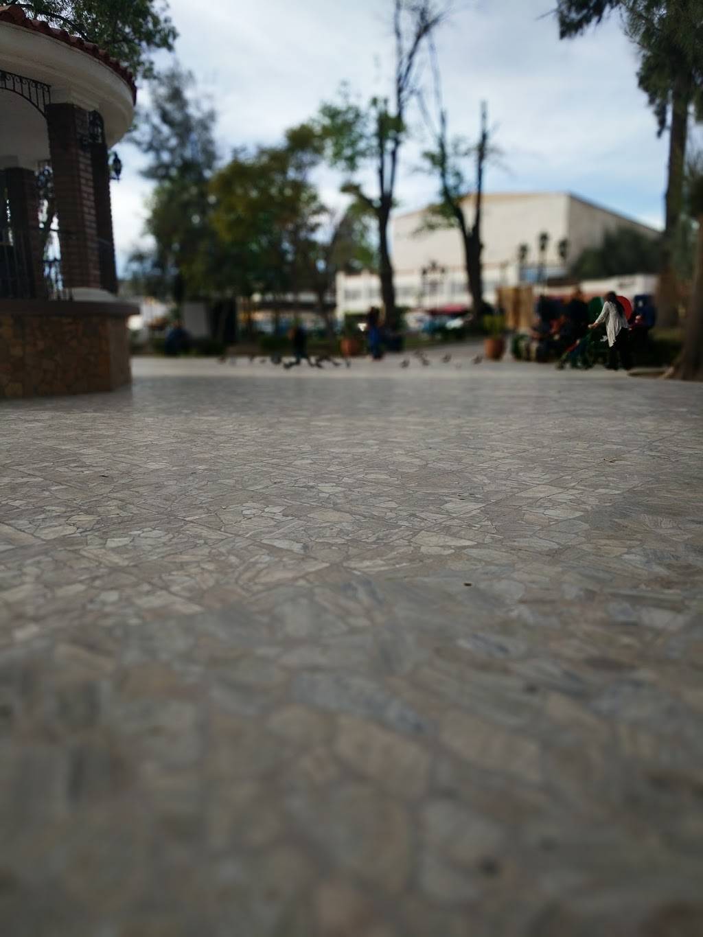 Portico restaurante & cervecería cosmos | restaurant | Libertad 449, Pliego, 21400 Tecate, B.C., Mexico | 016651340586 OR +52 665 134 0586