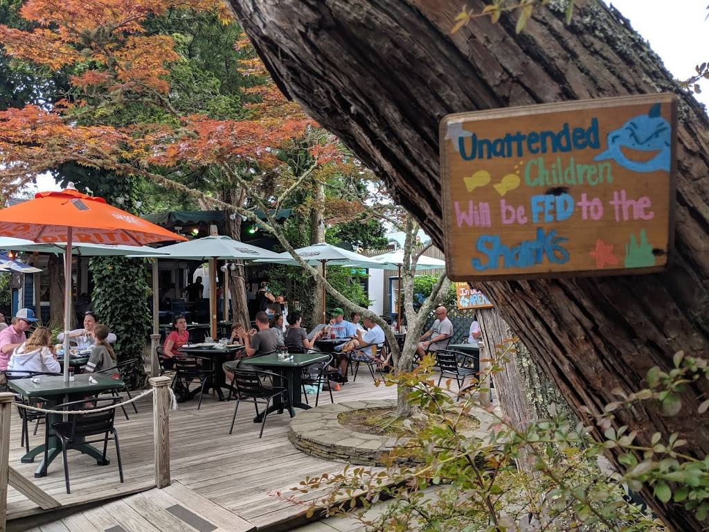 The Blue Coral | restaurant | 483 Main St, Chatham, MA 02633, USA | 5083480485 OR +1 508-348-0485