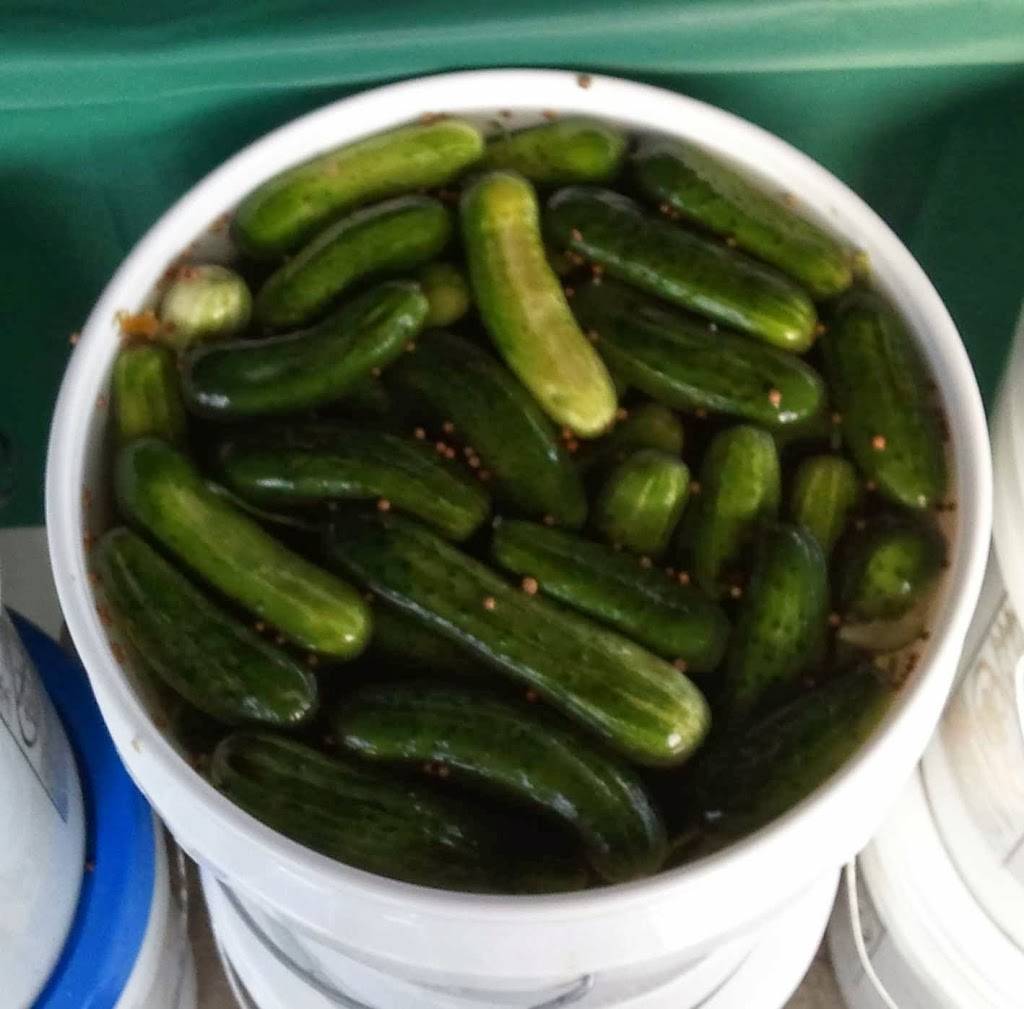 Brine Barrel | restaurant | 237 Partition St, Saugerties, NY 12477, USA | 8452465181 OR +1 845-246-5181