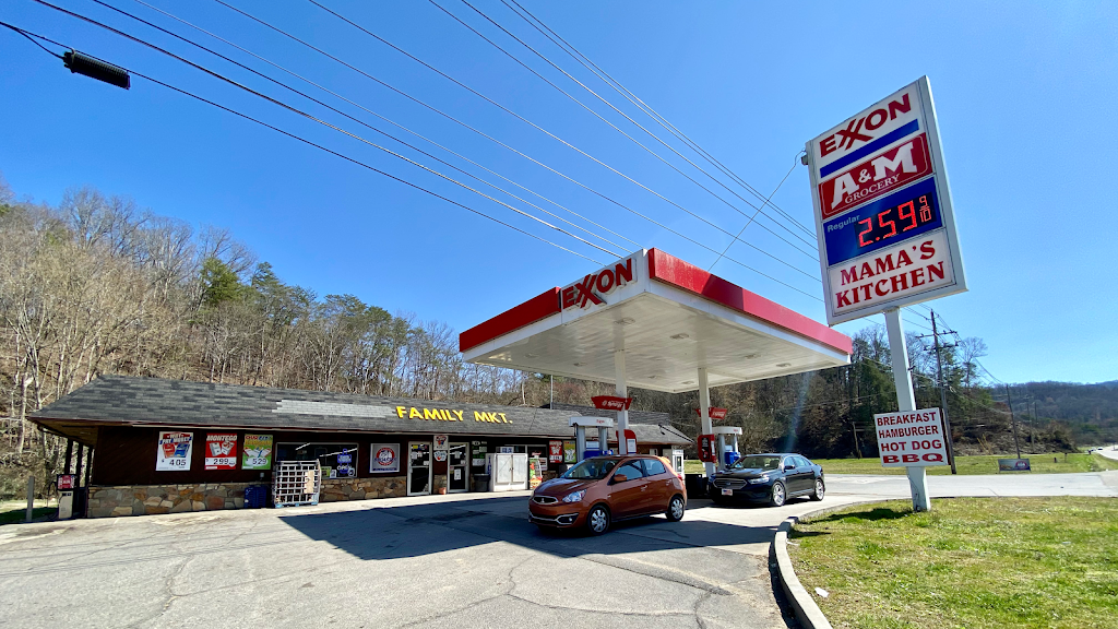 A & M Family Grocery | restaurant | 3066 Cosby Hwy # B, Cosby, TN 37722, USA | 4234873158 OR +1 423-487-3158